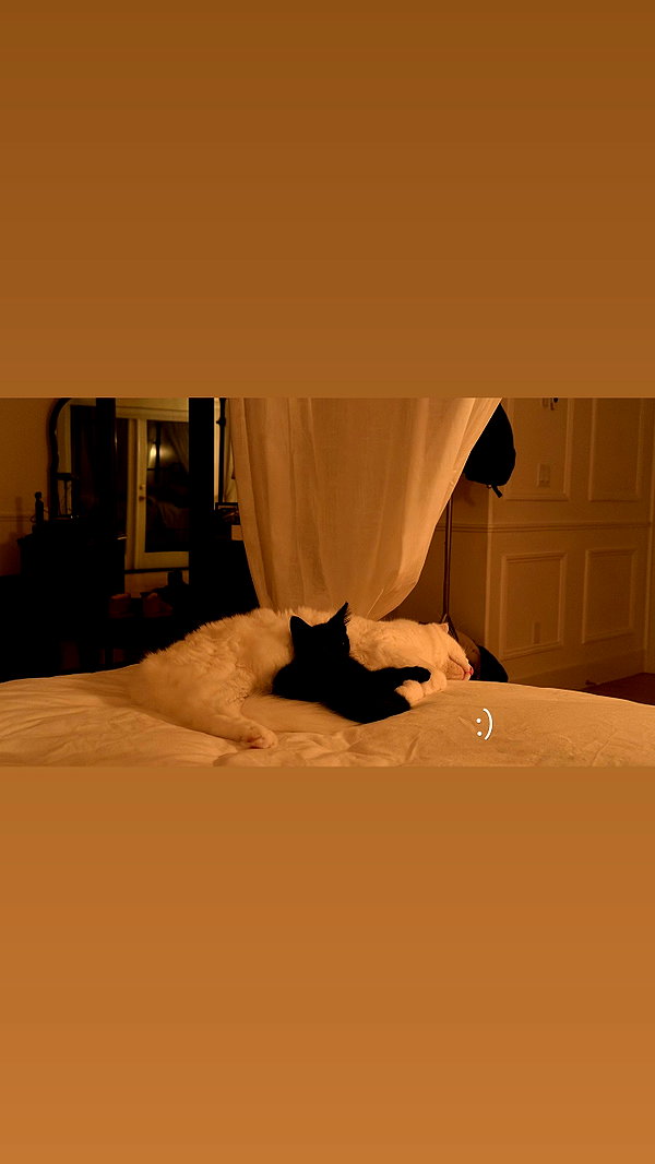 jessie.ra3 archive image