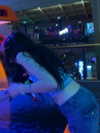 astarwbry_ Altpins Profile Picture