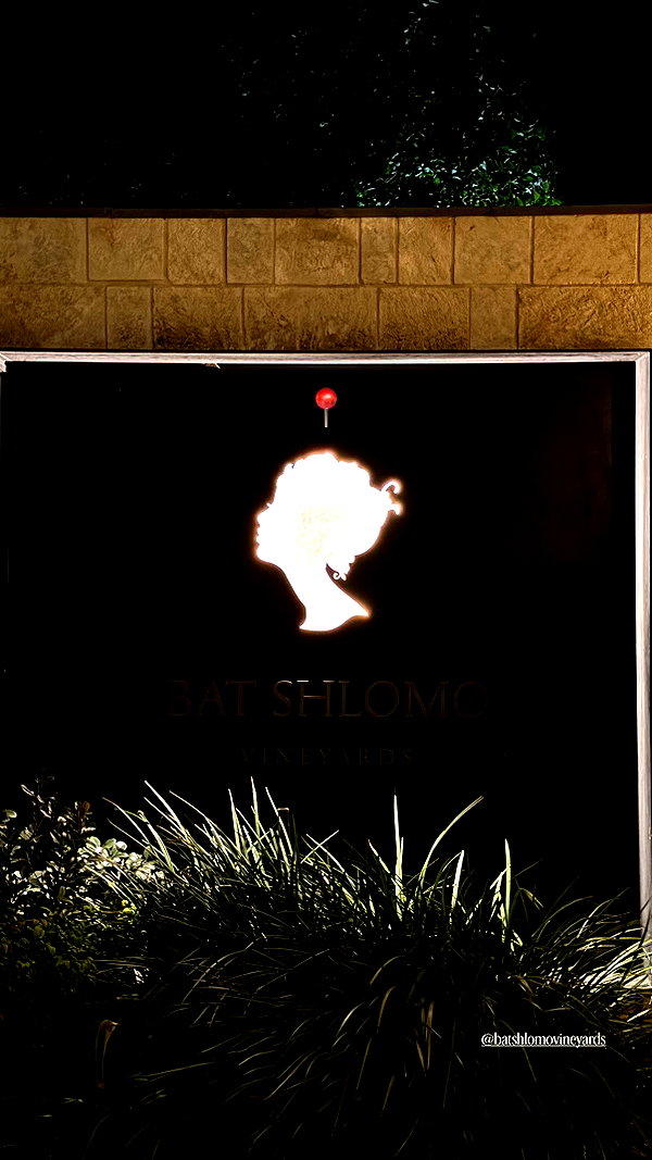 Archived image from @shahar__hauon on Instagram