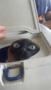 s111y_ccc0nt3 Altpins Profile Picture