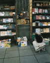 milena_milachich Altpins Profile Picture