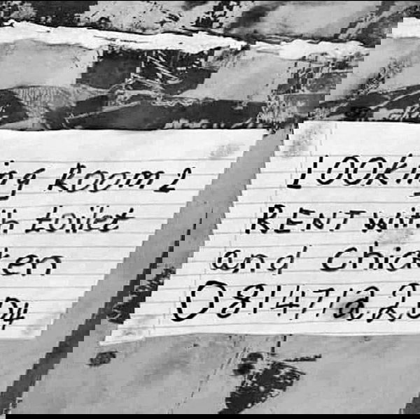 natalllluli natalllluli archive image