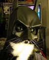 ellaexplicit_ Altpins Profile Picture