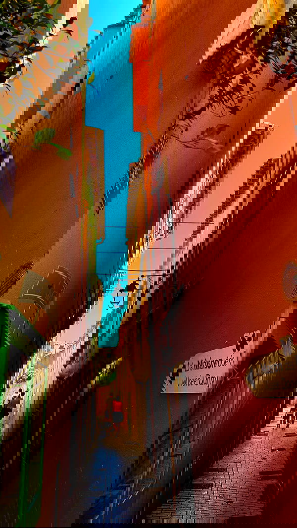 taylor.creeden taylor.creeden archive image