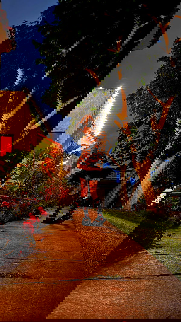 zommmbri zommmbri archive image