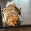 sunnyrayyxo Altpins Profile Picture