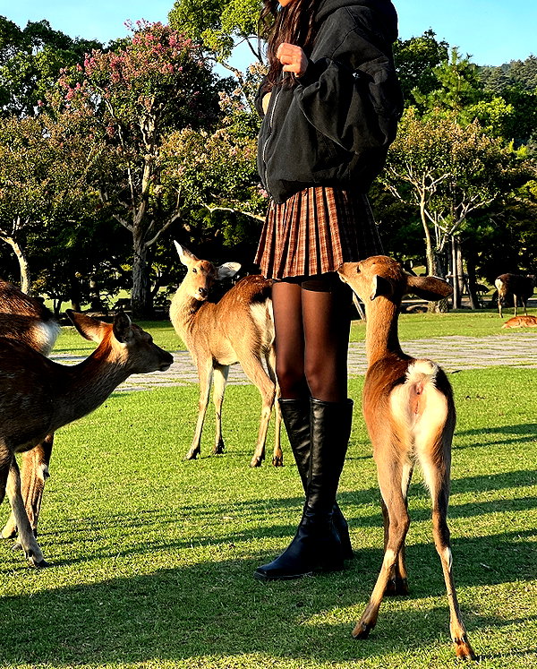 sabiyo instagram image archive image