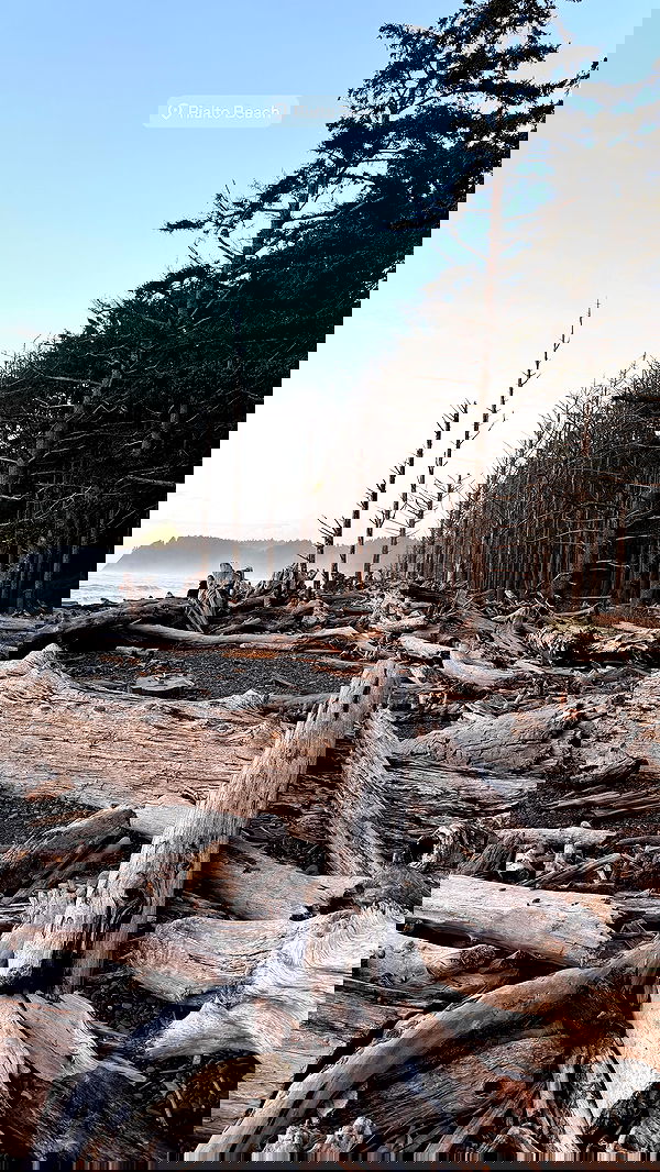 taylor.creeden taylor.creeden archive image