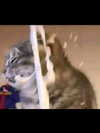 milkiwifey Altpins Profile Picture