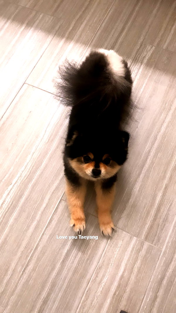 allissashin instagram image archive image