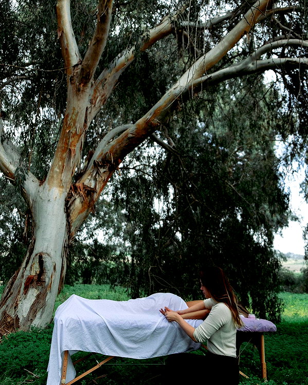 sandrakoval instagram image archive image