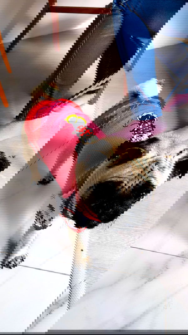 nyityam nyityam archive image