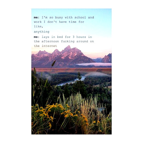 hallucineon instagram image archive image