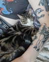 jahia_brown Altpins Profile Picture