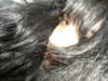h1k21k0m0r1 Altpins Profile Picture