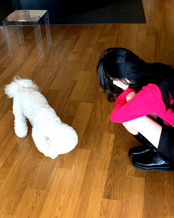 daxbin instagram image archive image