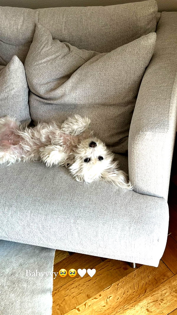 zoeliss instagram image archive image