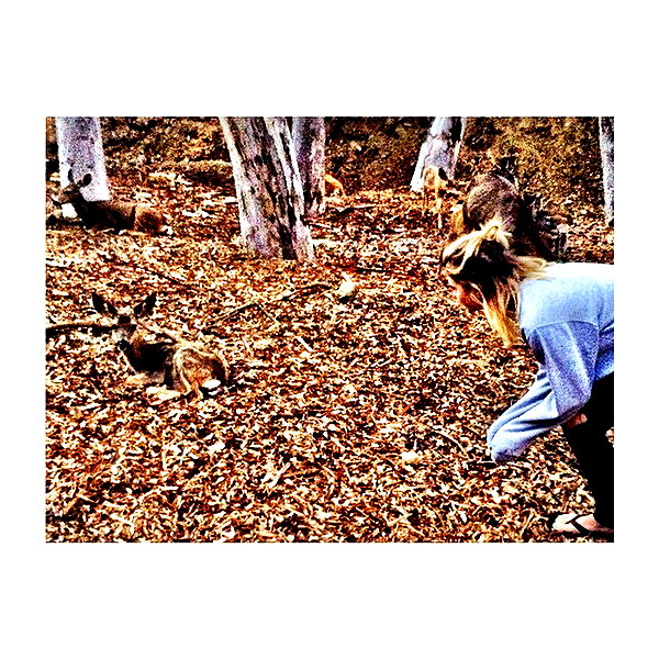 ashleybenson instagram image archive image