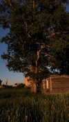 nasstellaa Altpins Profile Picture