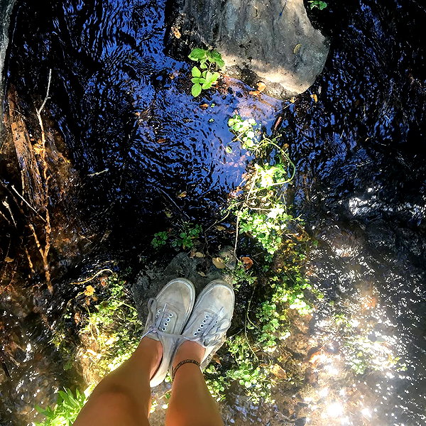 haileylayfield instagram image archive image