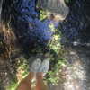 haileylayfield Altpins Profile Picture