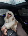 gritsa.k Altpins Profile Picture