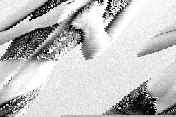 taylor.creeden taylor.creeden archive image