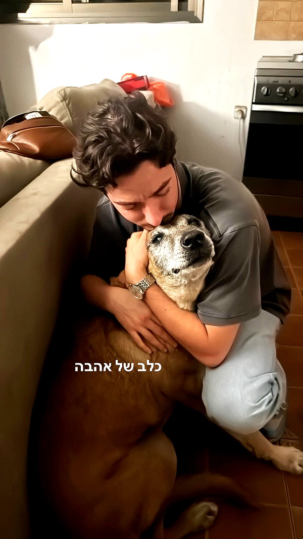biton__adi biton__adi archive image