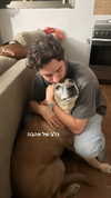 biton__adi Altpins Profile Picture