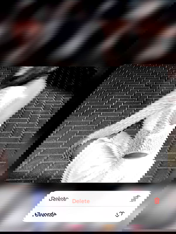 _lil_noa_ _lil_noa_ archive image