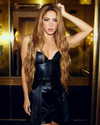 shakira Altpins Profile Picture