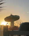 elsarca Altpins Profile Picture
