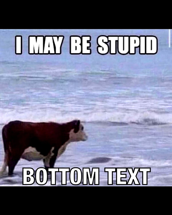 leanbeefpatty instagram image archive image
