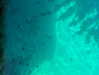 sof.alo Altpins Profile Picture