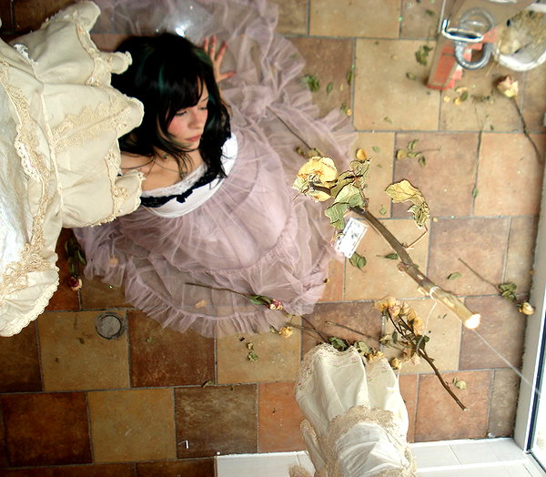 teakitten_ teakitten_ archive image