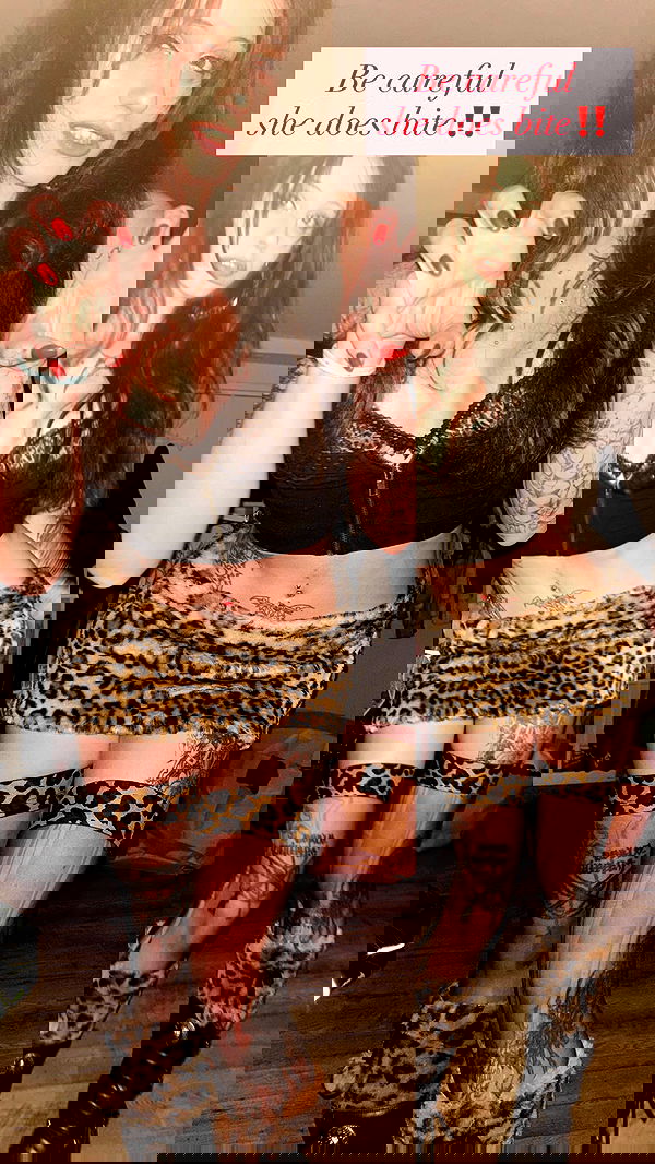 xzot1_met4xx xzot1_met4xx archive image