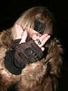 x.remibancks Altpins Profile Picture