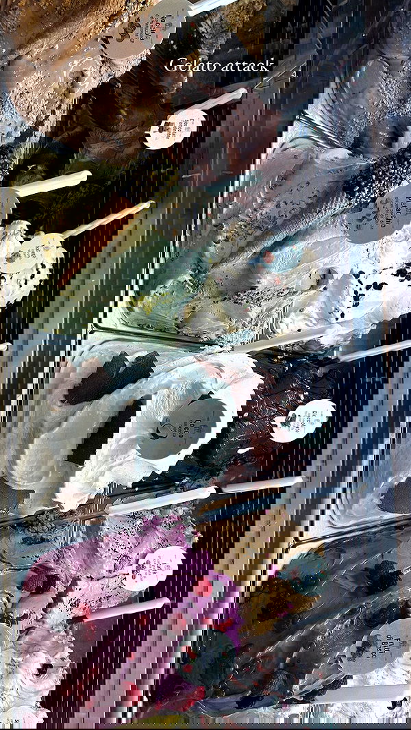 taylor.creeden taylor.creeden archive image