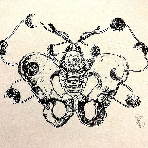 bad.toy archive image