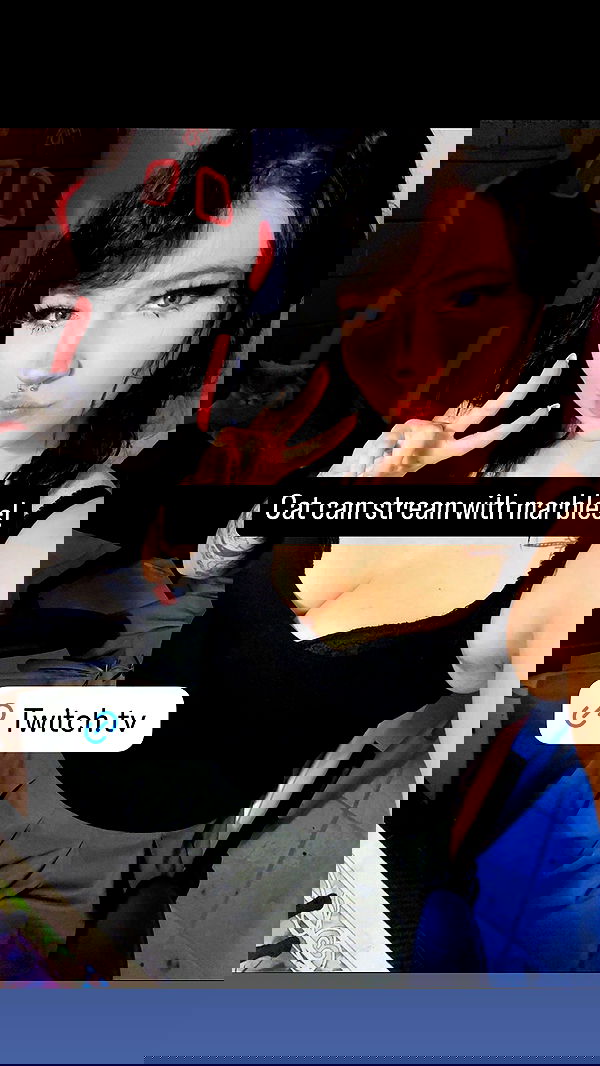 chibinekopurr chibinekopurr archive image