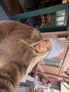 chelsnamsayin Altpins Profile Picture