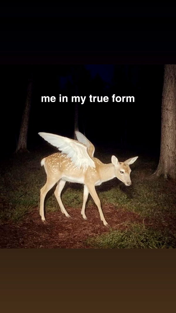 laceyd0e instagram image archive image