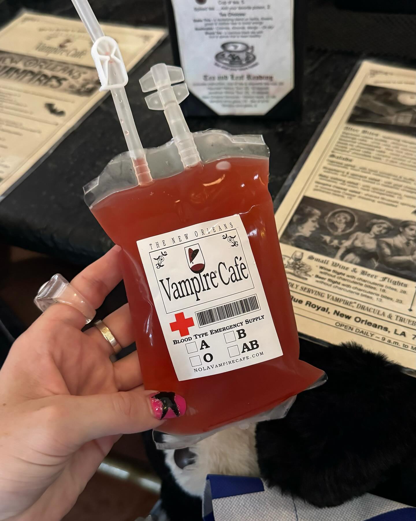 jtilb2 instagram image archive image