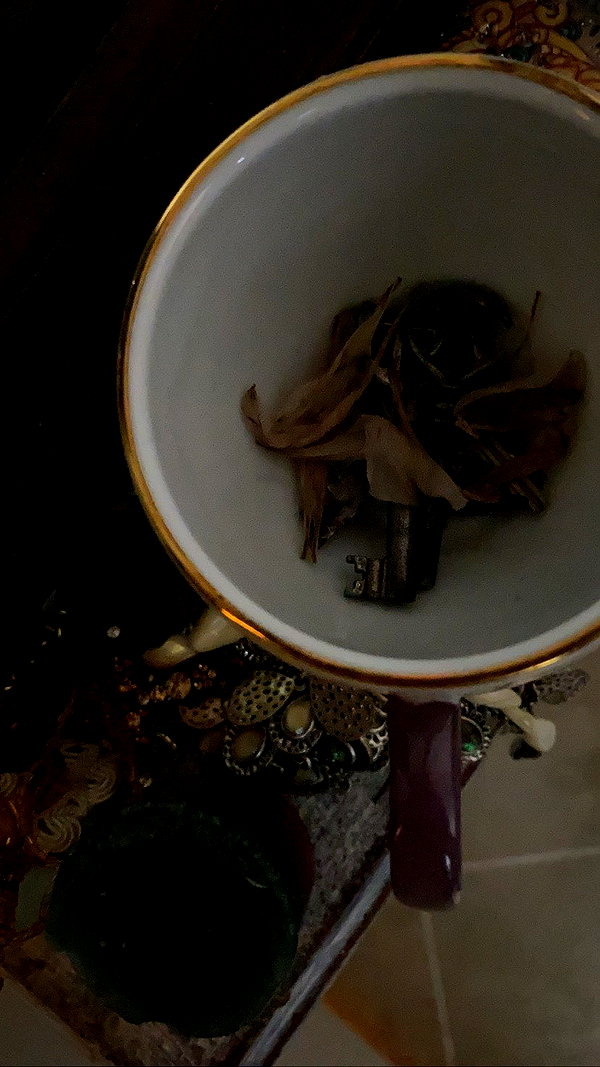 teakitten_ teakitten_ archive image