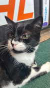 olivia.bolgerr Altpins Profile Picture