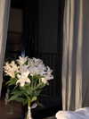 miikheeva_stasiiya Altpins Profile Picture