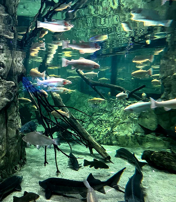 eyeooone instagram image archive image