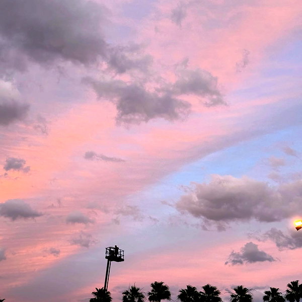 smashedely instagram image archive image
