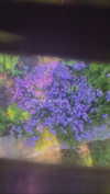 alisen.mari Altpins Profile Picture
