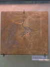 lotembar Altpins Profile Picture